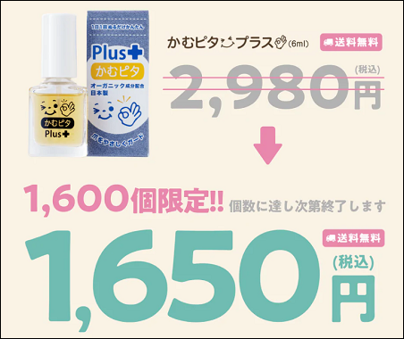 かむピタ ヨドバシ